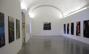 Exposition  personnelle “Incubes et succubes”, Centre d’art de l’Yonne,  Château de Tanlay (2012)